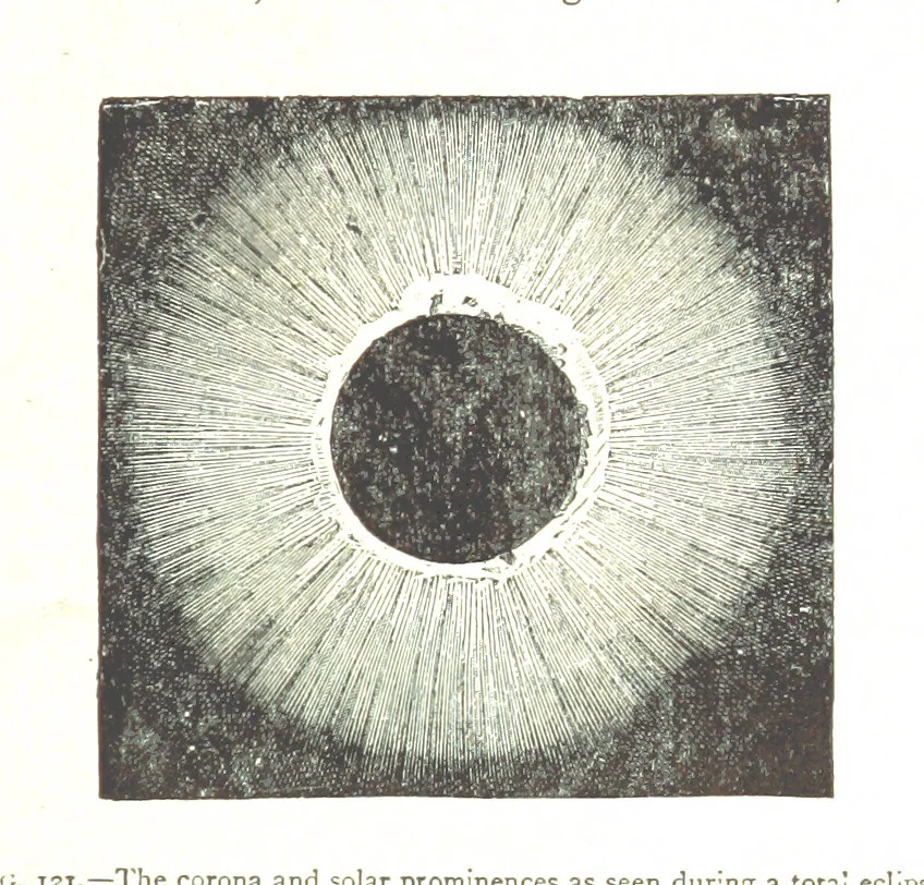 An illustration from Physiography ... New edition, 1884, leaf 407