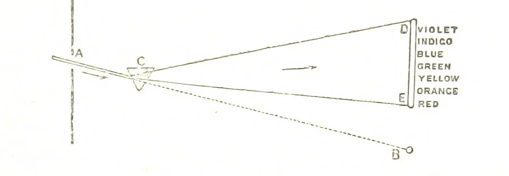 An illustration from Physiography ... New edition, 1884, leaf 409
