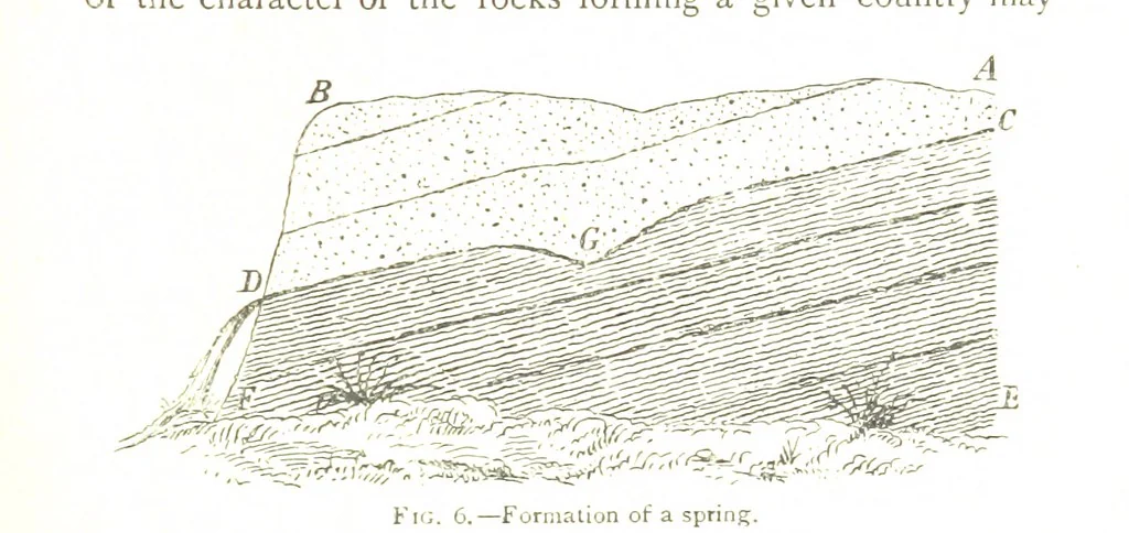 An illustration from Physiography ... New edition, 1884, leaf 55