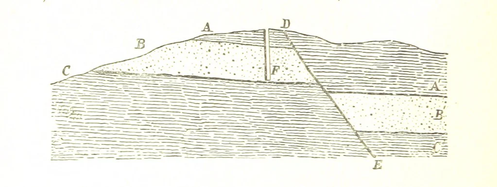 An illustration from Physiography ... New edition, 1884, leaf 62