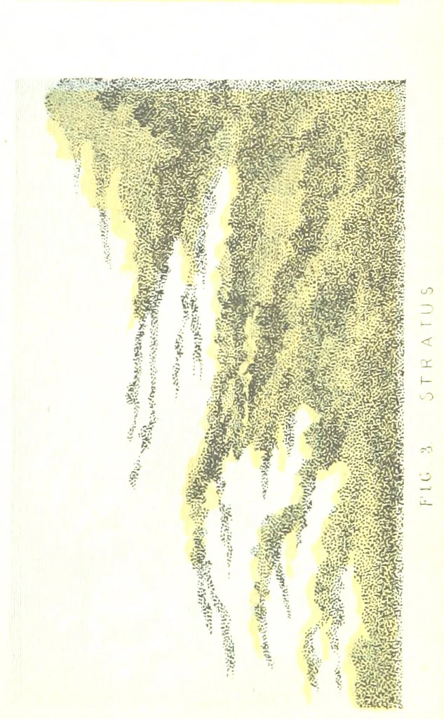 An illustration from Physiography ... New edition, 1884, leaf 75