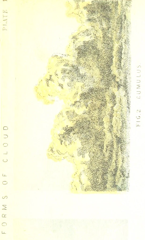 An illustration from Physiography ... New edition, 1884, leaf 75