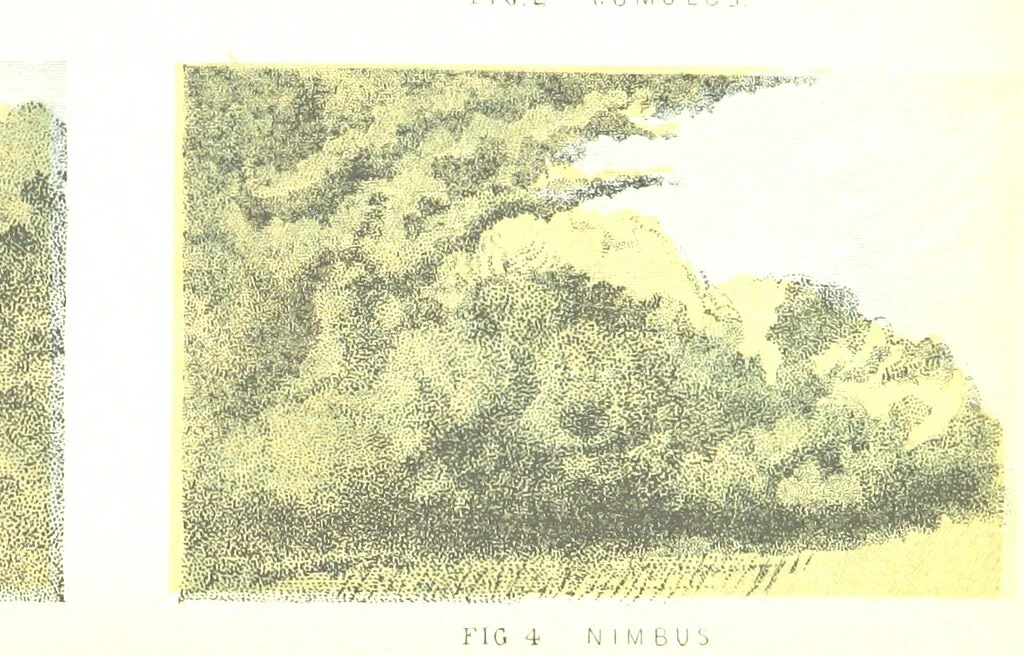 An illustration from Physiography ... New edition, 1884, leaf 75