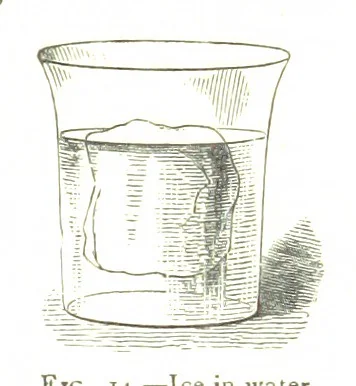 An illustration from Physiography ... New edition, 1884, leaf 93