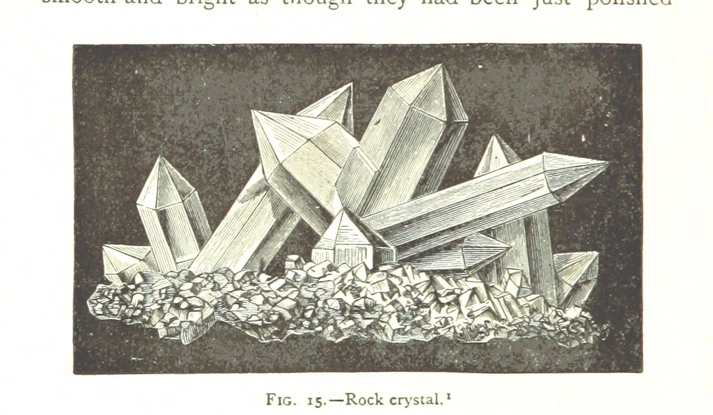 An illustration from Physiography ... New edition, 1884, leaf 94