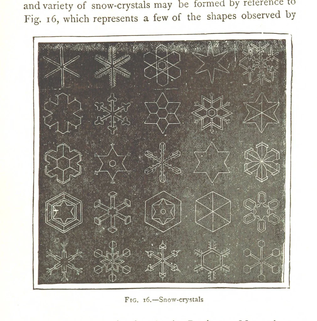 An illustration from Physiography ... New edition, 1884, leaf 97