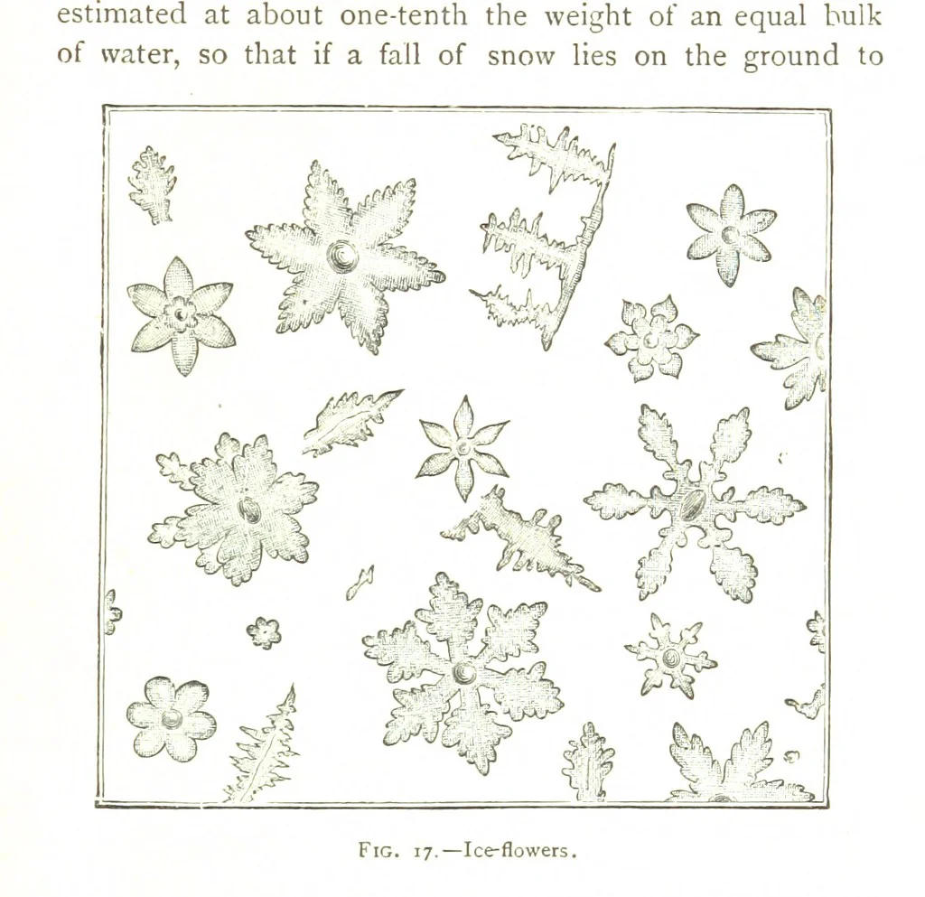 An illustration from Physiography ... New edition, 1884, leaf 99