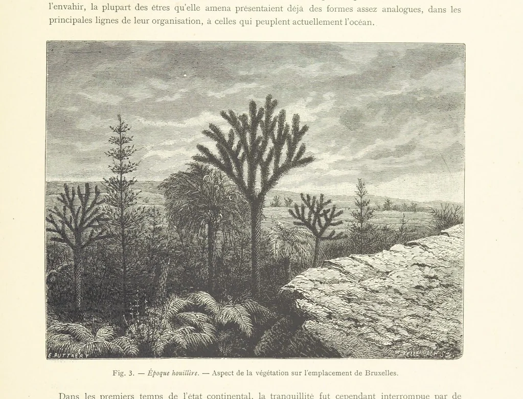 An illustration from Bruxelles à travers les àges. (Troisième volume ... par H. Hymans, P. Hymans.), 1882, leaf 33
