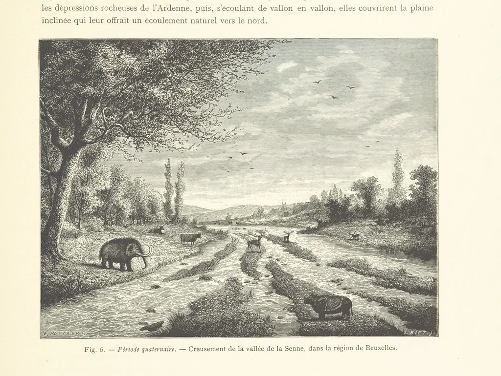 An illustration from Bruxelles à travers les àges. (Troisième volume ... par H. Hymans, P. Hymans.), 1882, leaf 43