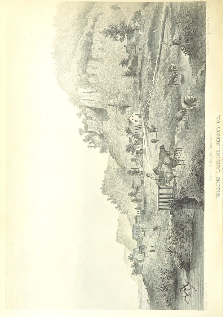An illustration from Geological Survey of Illinois. A. H. Worthen, Director, 1866, leaf 8