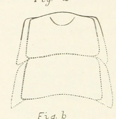 An illustration from Geological Survey of Illinois. A. H. Worthen, Director, 1866, leaf 238