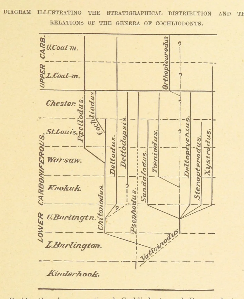 An illustration from Geological Survey of Illinois. A. H. Worthen, Director, 1866, leaf 71