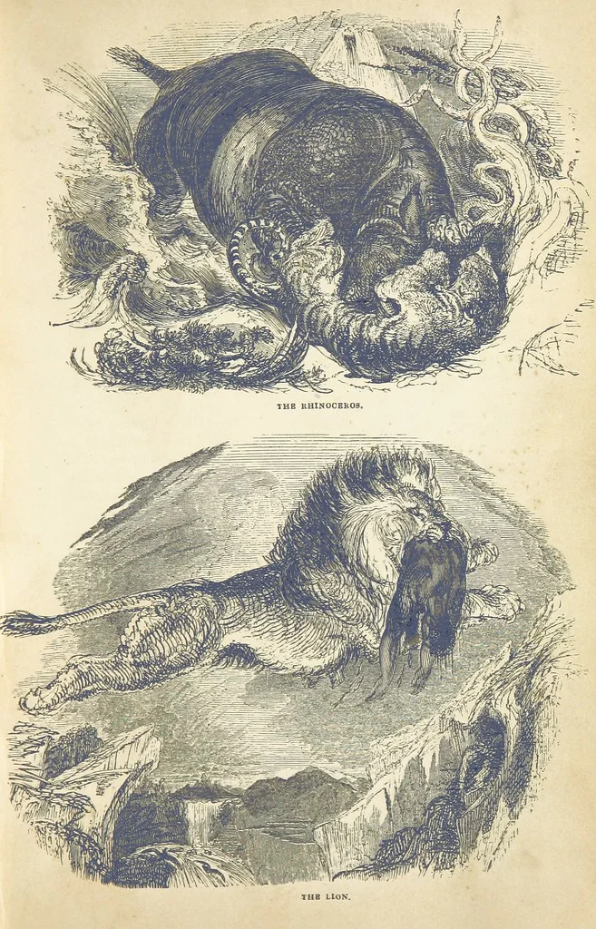 An illustration from The Wonders of the World. In nature, art & mind. Edited by H. Ince ... & Robert Mudie, etc, 1855, leaf 291