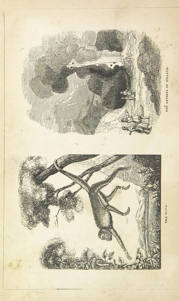 An illustration from The Wonders of the World. In nature, art & mind. Edited by H. Ince ... & Robert Mudie, etc, 1855, leaf 324