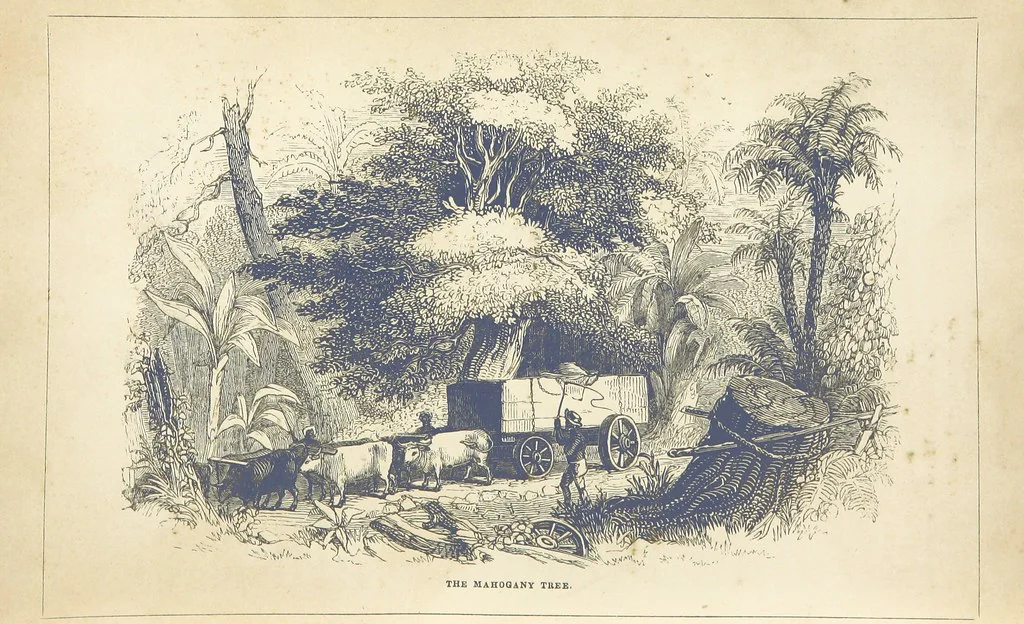An illustration from The Wonders of the World. In nature, art & mind. Edited by H. Ince ... & Robert Mudie, etc, 1855, leaf 99