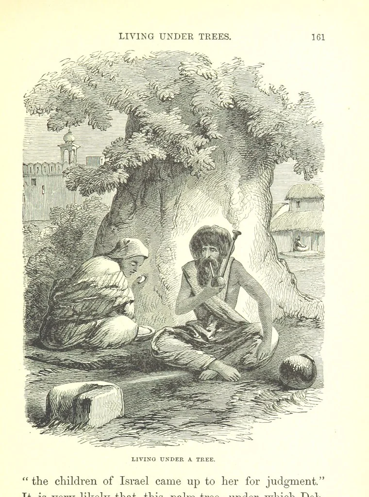 An illustration from The Indian Mirror; or, illustrations of Bible truth drawn from life in India, 1878, leaf 165