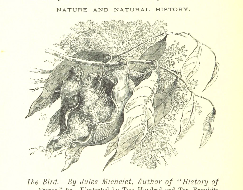 An illustration from The Indian Mirror; or, illustrations of Bible truth drawn from life in India, 1878, leaf 320