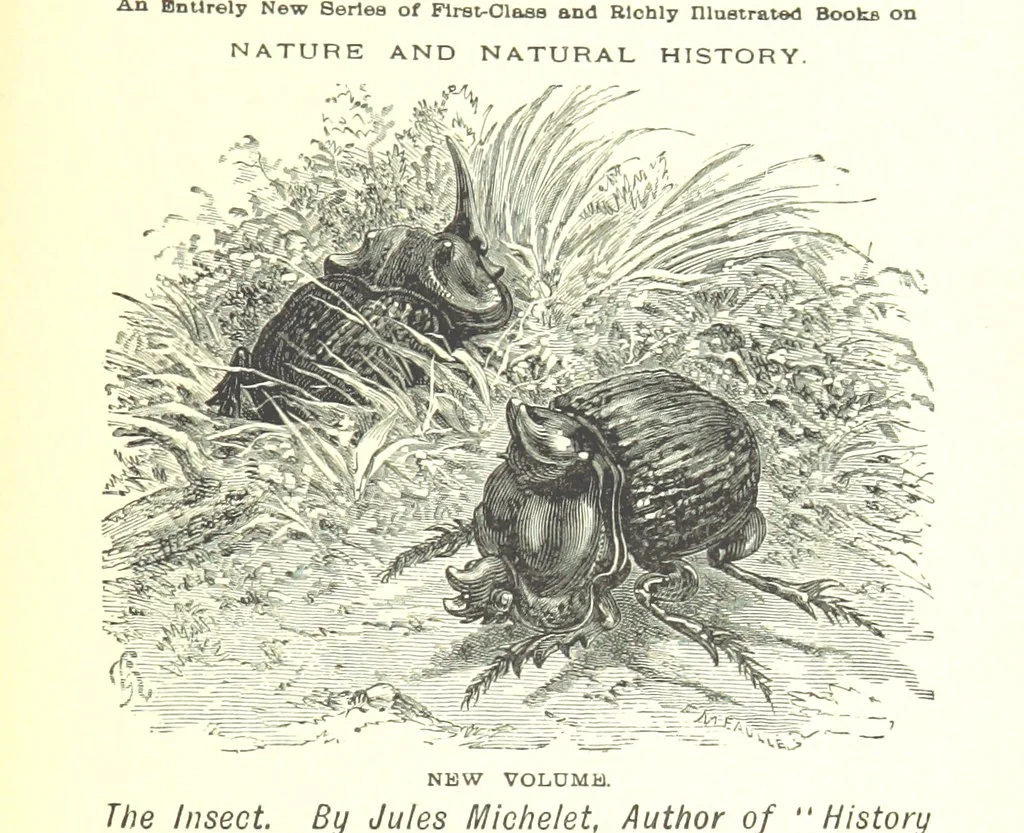 An illustration from The Indian Mirror; or, illustrations of Bible truth drawn from life in India, 1878, leaf 321