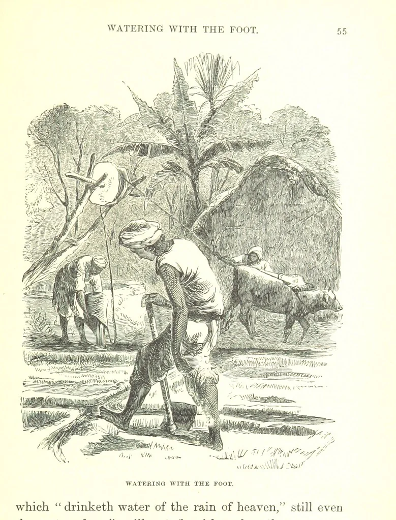 An illustration from The Indian Mirror; or, illustrations of Bible truth drawn from life in India, 1878, leaf 59