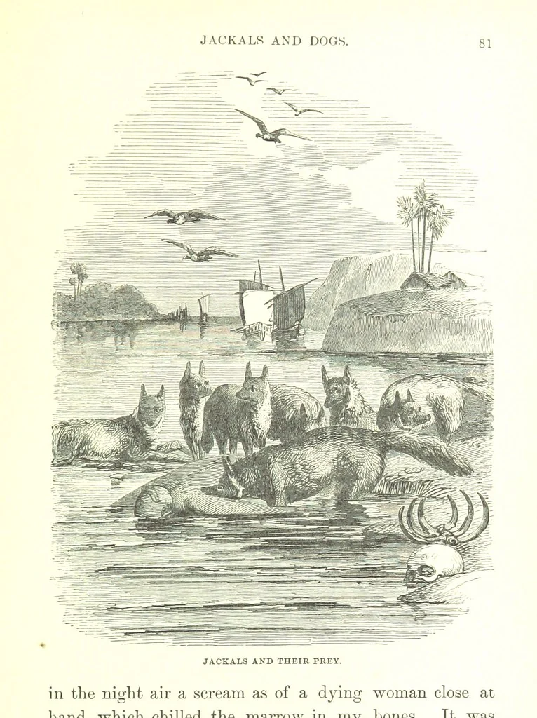 An illustration from The Indian Mirror; or, illustrations of Bible truth drawn from life in India, 1878, leaf 85