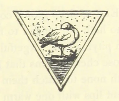 An illustration from The Poetical Works of Jean Ingelow, 1898, leaf 535