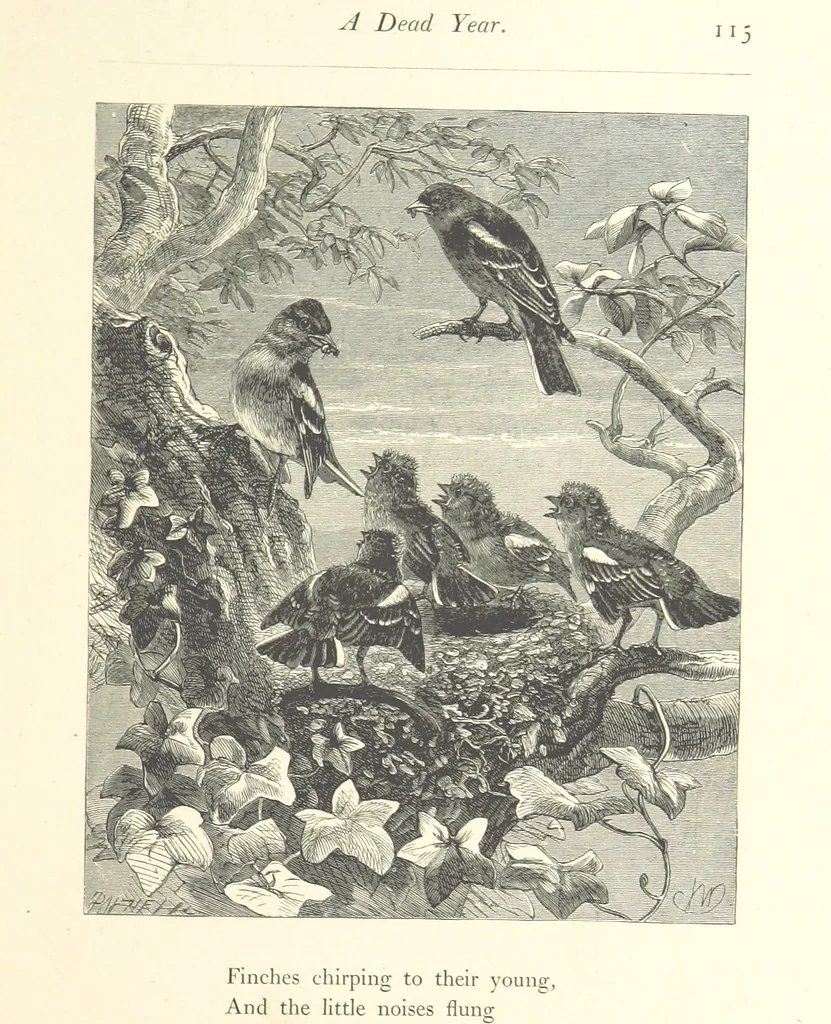 An illustration from Poems ... With illustrations by G. J. Pinwell, E. J. Poynter, ... engraved by the Brothers Dalziel, 1867, leaf 139