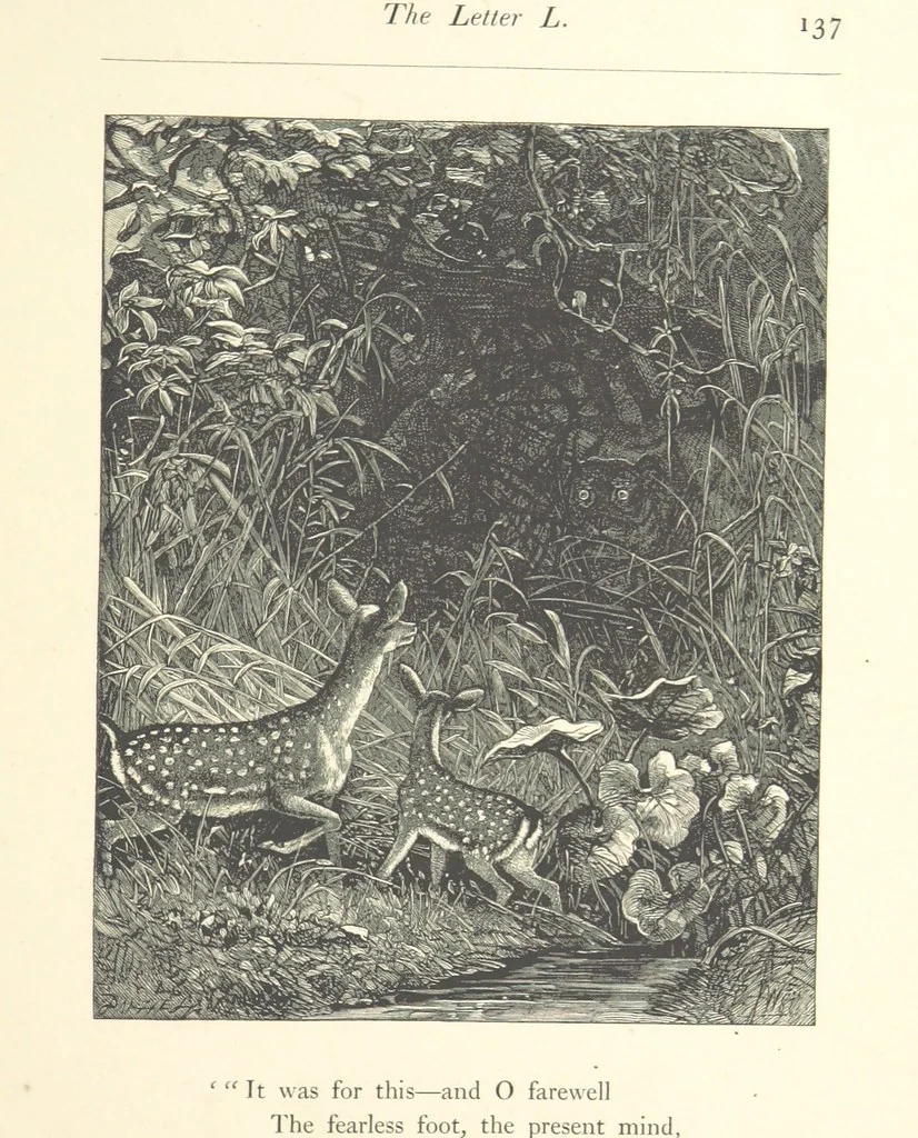 An illustration from Poems ... With illustrations by G. J. Pinwell, E. J. Poynter, ... engraved by the Brothers Dalziel, 1867, leaf 161