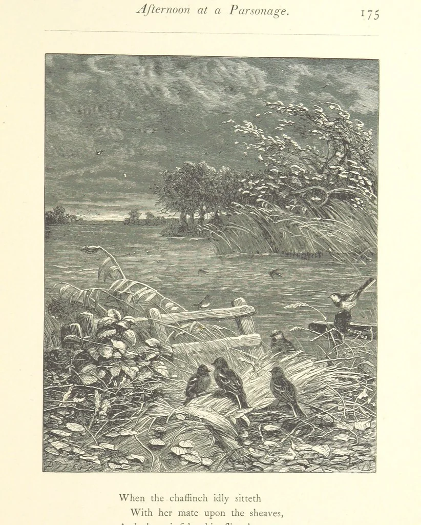An illustration from Poems ... With illustrations by G. J. Pinwell, E. J. Poynter, ... engraved by the Brothers Dalziel, 1867, leaf 199