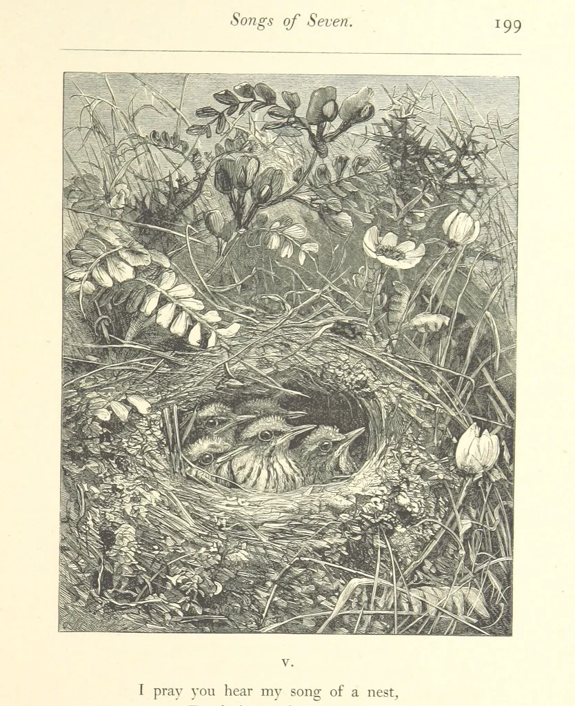 An illustration from Poems ... With illustrations by G. J. Pinwell, E. J. Poynter, ... engraved by the Brothers Dalziel, 1867, leaf 223