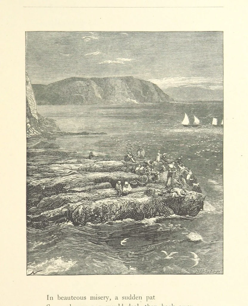 An illustration from Poems ... With illustrations by G. J. Pinwell, E. J. Poynter, ... engraved by the Brothers Dalziel, 1867, leaf 241
