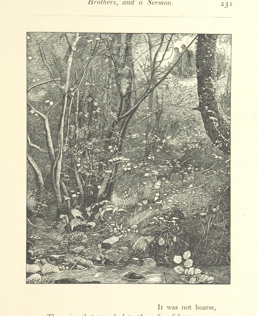 An illustration from Poems ... With illustrations by G. J. Pinwell, E. J. Poynter, ... engraved by the Brothers Dalziel, 1867, leaf 255