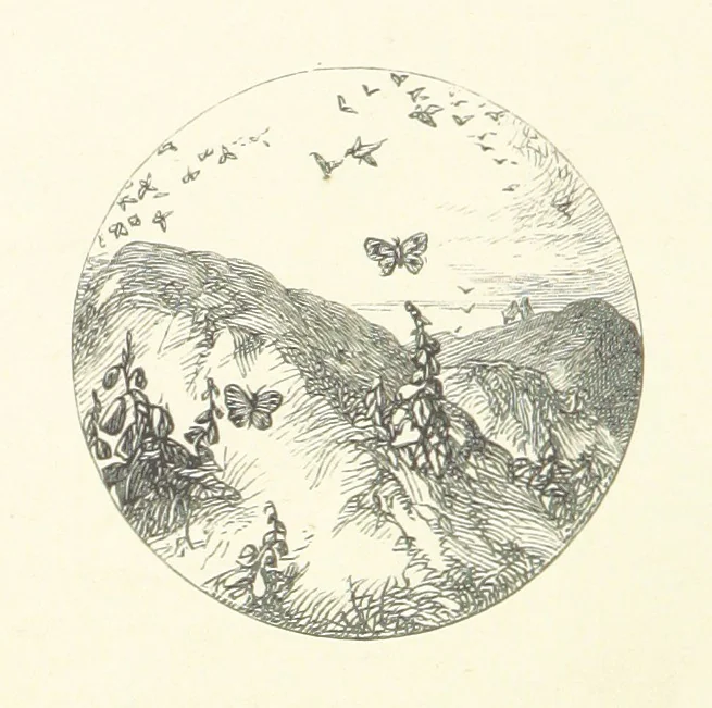 An illustration from Poems ... With illustrations by G. J. Pinwell, E. J. Poynter, ... engraved by the Brothers Dalziel, 1867, leaf 26