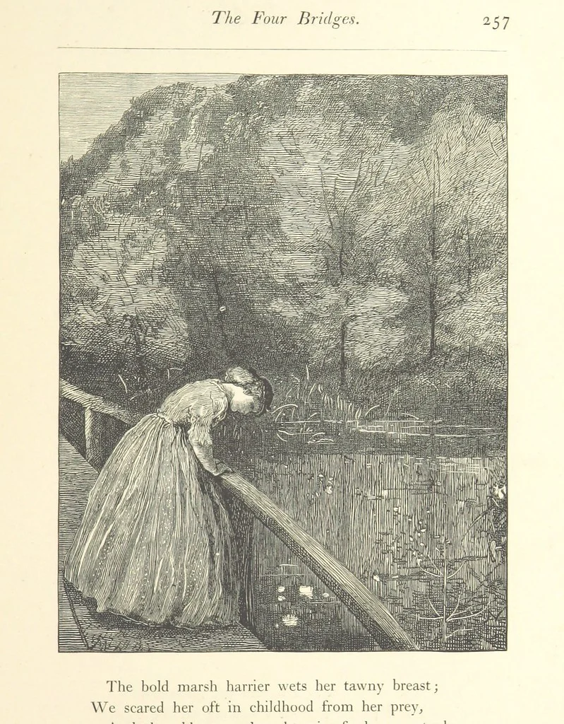An illustration from Poems ... With illustrations by G. J. Pinwell, E. J. Poynter, ... engraved by the Brothers Dalziel, 1867, leaf 281