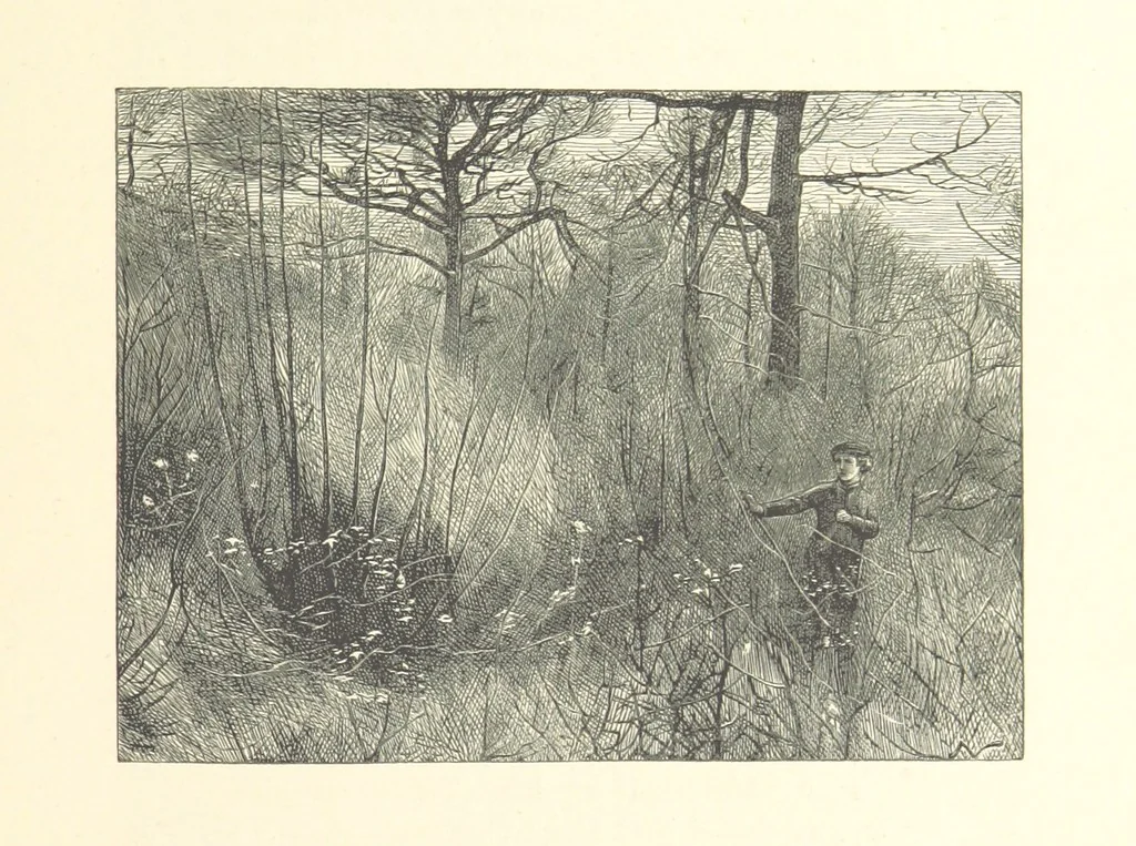 An illustration from Poems ... With illustrations by G. J. Pinwell, E. J. Poynter, ... engraved by the Brothers Dalziel, 1867, leaf 283