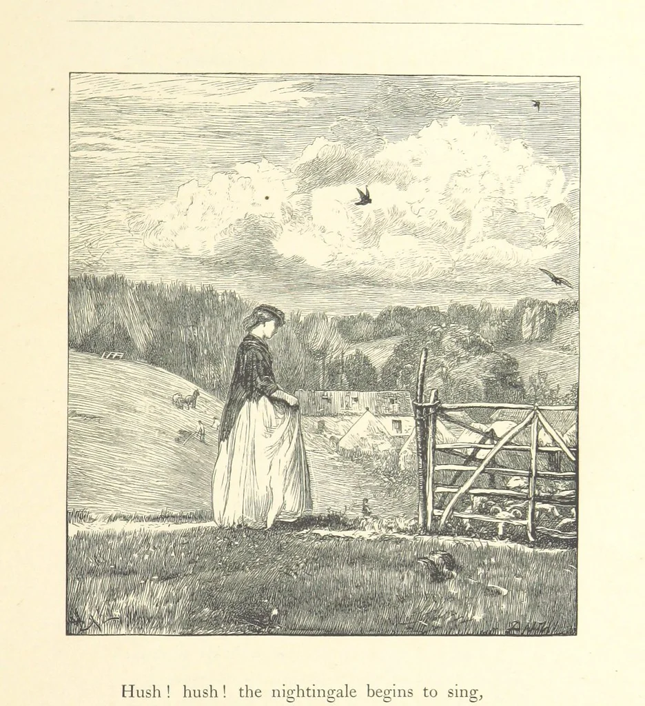 An illustration from Poems ... With illustrations by G. J. Pinwell, E. J. Poynter, ... engraved by the Brothers Dalziel, 1867, leaf 289