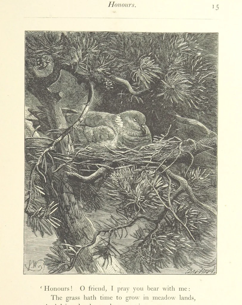An illustration from Poems ... With illustrations by G. J. Pinwell, E. J. Poynter, ... engraved by the Brothers Dalziel, 1867, leaf 39
