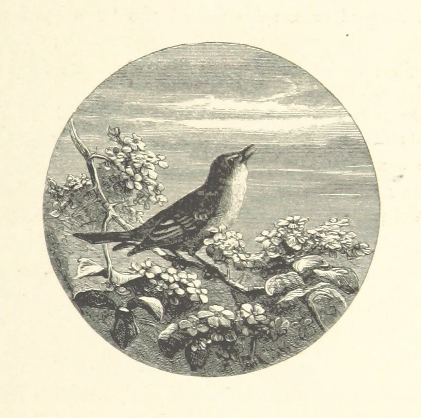 An illustration from Poems ... With illustrations by G. J. Pinwell, E. J. Poynter, ... engraved by the Brothers Dalziel, 1867, leaf 61