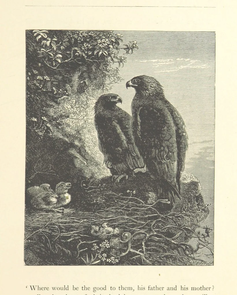 An illustration from Poems ... With illustrations by G. J. Pinwell, E. J. Poynter, ... engraved by the Brothers Dalziel, 1867, leaf 69