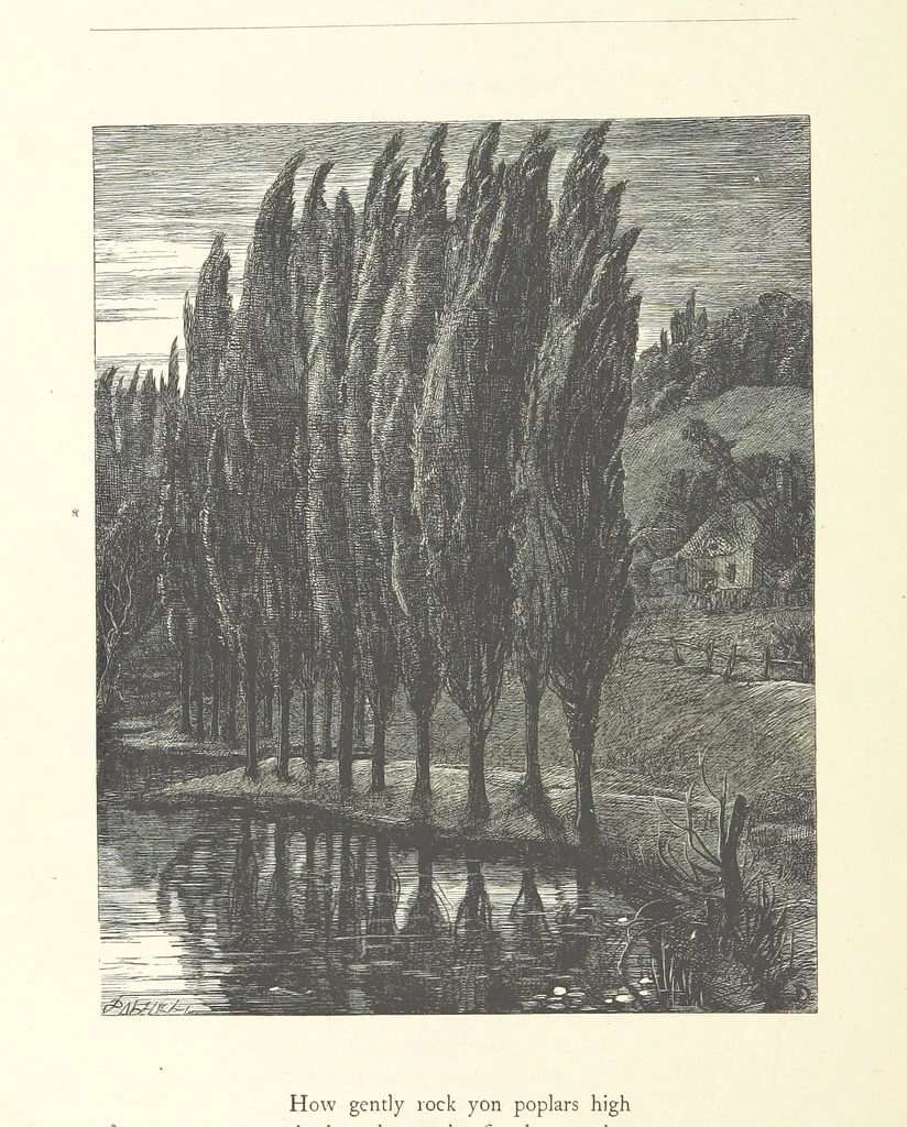 An illustration from Poems ... With illustrations by G. J. Pinwell, E. J. Poynter, ... engraved by the Brothers Dalziel, 1867, leaf 80