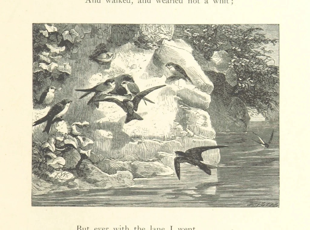 An illustration from Poems ... With illustrations by G. J. Pinwell, E. J. Poynter, ... engraved by the Brothers Dalziel, 1867, leaf 93