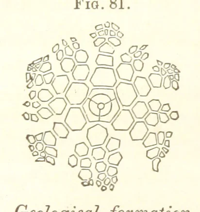 An illustration from Report on the Geological Survey of Iowa. By J. Hall, J. D. Whitney. [With maps.] vol. 1, 1858, leaf 112