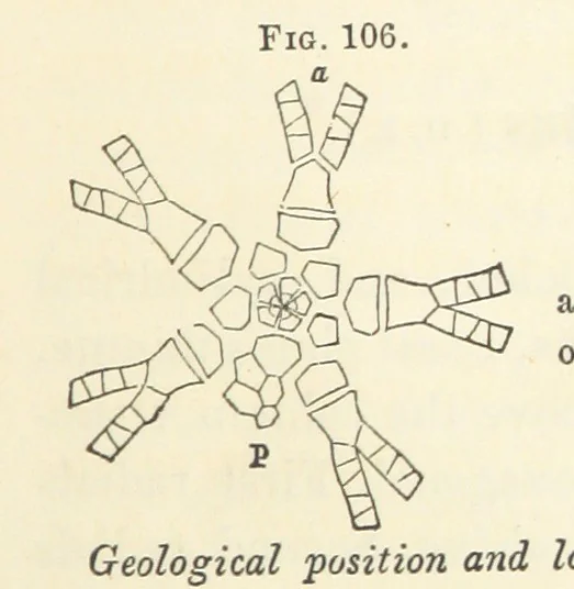 An illustration from Report on the Geological Survey of Iowa. By J. Hall, J. D. Whitney. [With maps.] vol. 1, 1858, leaf 219