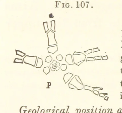An illustration from Report on the Geological Survey of Iowa. By J. Hall, J. D. Whitney. [With maps.] vol. 1, 1858, leaf 220