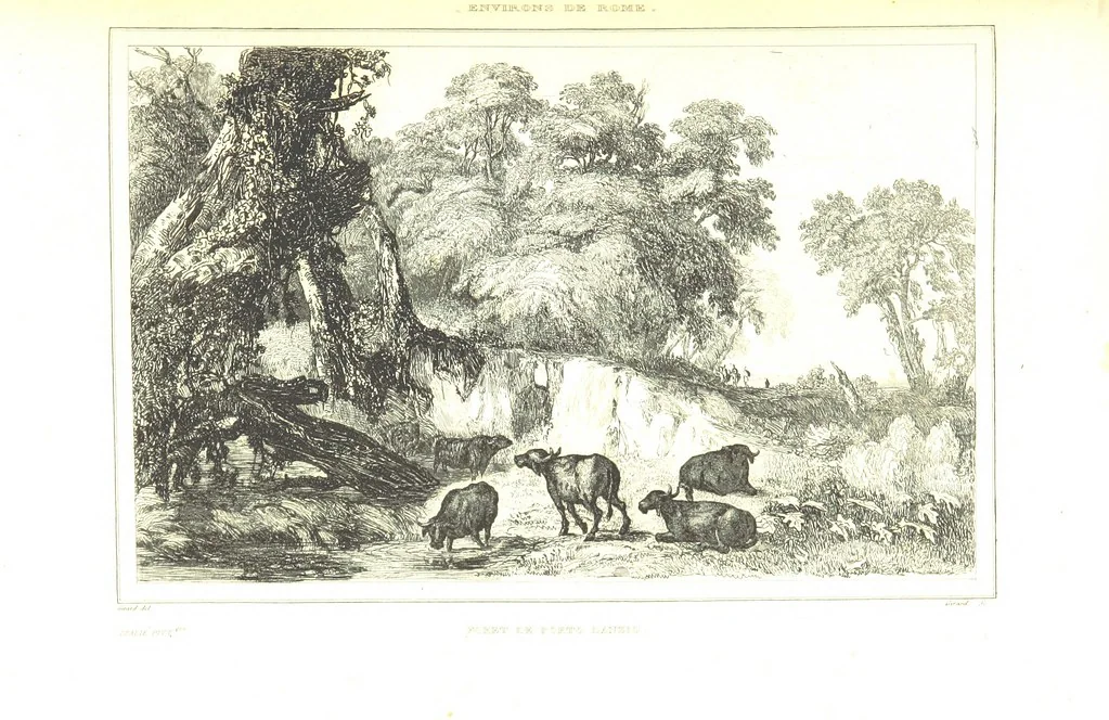 An illustration from Italie Pittoresque. Tableau historique et descriptif de l'Italie, du Piémont, de la Sardaigne, de Malte, de la Sicile et de la Corse, par ... De Norvins, C. Nodier ... Orné de dessins, etc, 1834, leaf 657