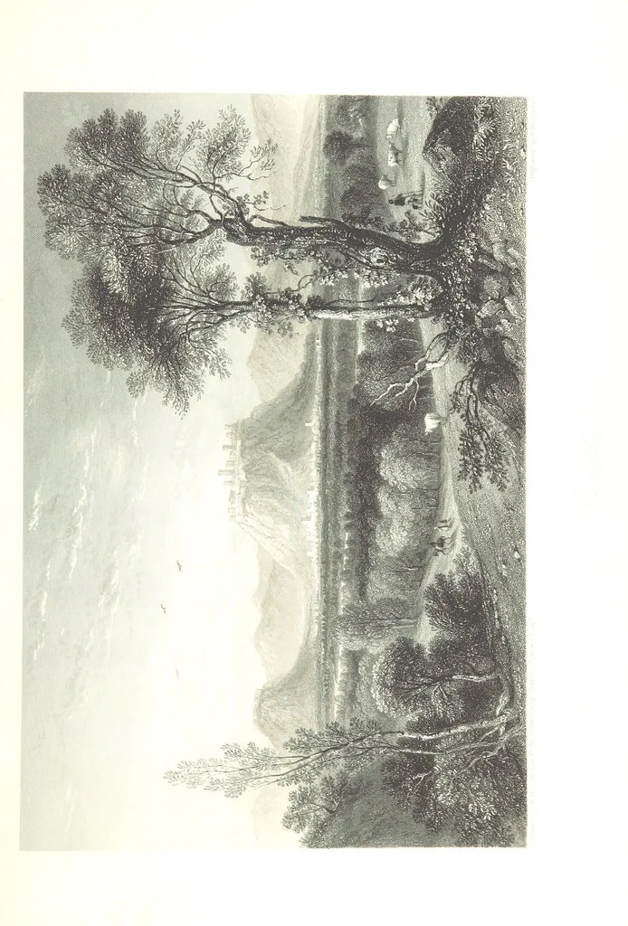 An illustration from Italy, classical, historical and picturesque. Illustrated in a series of views from drawings by Stanfield, R. A., Roberts, R. A., Harding, Prout, Leitch, Brockedon, Barnard, &c. &c. With descriptions of the scenes. Preceded by an introductory essay, on the recent history and present condition of Italy and the Italians, by Camillo Mapei (translated by David Dundas Scott), 1859, leaf 197
