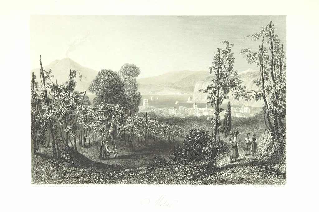 An illustration from Italy, classical, historical and picturesque. Illustrated in a series of views from drawings by Stanfield, R. A., Roberts, R. A., Harding, Prout, Leitch, Brockedon, Barnard, &c. &c. With descriptions of the scenes. Preceded by an introductory essay, on the recent history and present condition of Italy and the Italians, by Camillo Mapei (translated by David Dundas Scott), 1859, leaf 357
