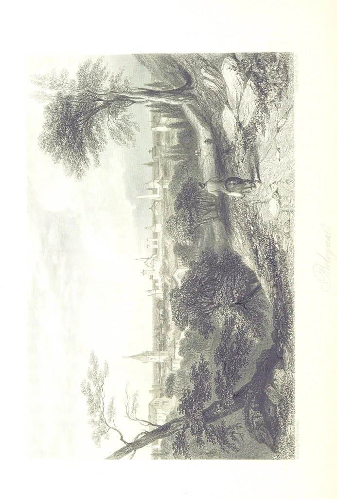 An illustration from Italy, classical, historical and picturesque. Illustrated in a series of views from drawings by Stanfield, R. A., Roberts, R. A., Harding, Prout, Leitch, Brockedon, Barnard, &c. &c. With descriptions of the scenes. Preceded by an introductory essay, on the recent history and present condition of Italy and the Italians, by Camillo Mapei (translated by David Dundas Scott), 1859, leaf 400