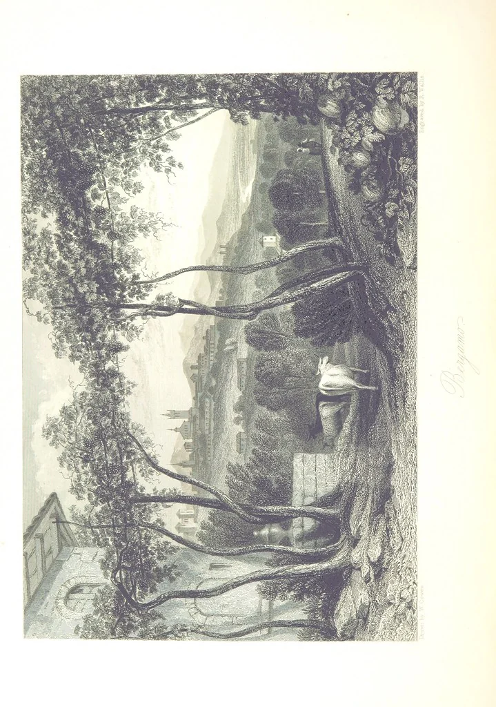 An illustration from Italy, classical, historical and picturesque. Illustrated in a series of views from drawings by Stanfield, R. A., Roberts, R. A., Harding, Prout, Leitch, Brockedon, Barnard, &c. &c. With descriptions of the scenes. Preceded by an introductory essay, on the recent history and present condition of Italy and the Italians, by Camillo Mapei (translated by David Dundas Scott), 1859, leaf 452