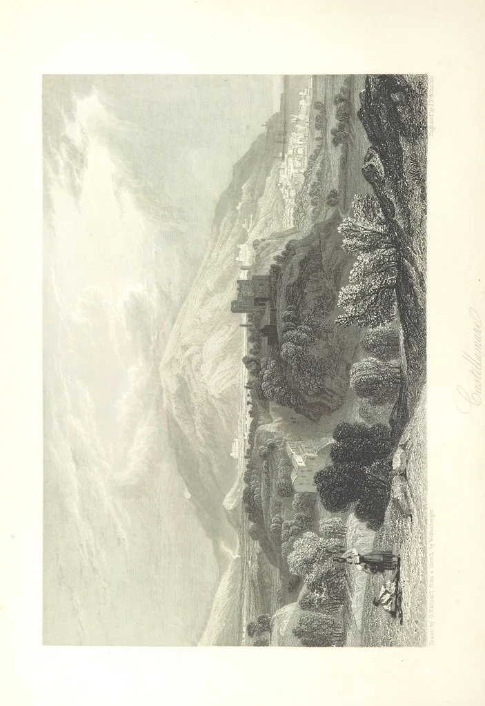 An illustration from Italy, illustrated and described, in a series of views from drawings by Stanfield, R.A., Roberts, R.A., Harding, Prout, Leitch, Brockedon, Barnard, &c. &c. With descriptions of the scenes. And an introductory essay. on the political, religious, and moral state of Italy. By Camillo Mapei [translated by David Dundas Scott] ... And a sketch of the history and progress of Italy during the last fifteen years, 1847-62, in continuation of Dr. Mapei's essay. By the Rev. Gavin Carlyle, 1864, leaf 448