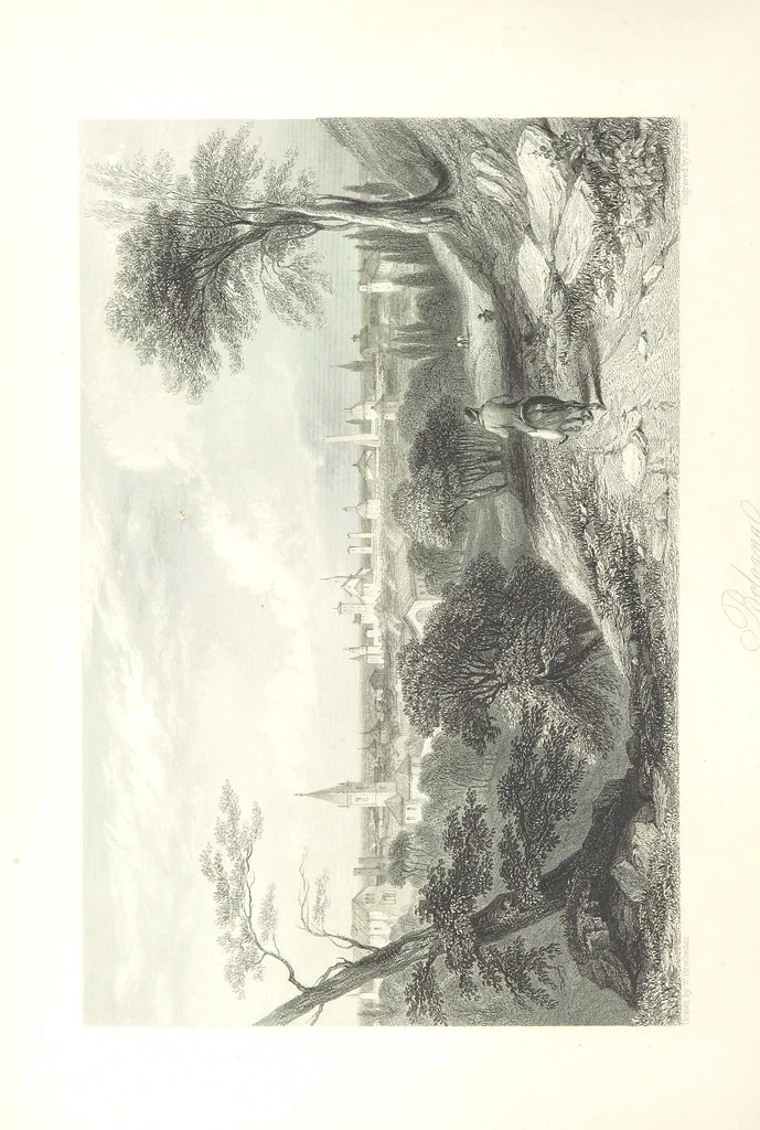 An illustration from Italy, illustrated and described, in a series of views from drawings by Stanfield, R.A., Roberts, R.A., Harding, Prout, Leitch, Brockedon, Barnard, &c. &c. With descriptions of the scenes. And an introductory essay. on the political, religious, and moral state of Italy. By Camillo Mapei [translated by David Dundas Scott] ... And a sketch of the history and progress of Italy during the last fifteen years, 1847-62, in continuation of Dr. Mapei's essay. By the Rev. Gavin Carlyle, 1864, leaf 498
